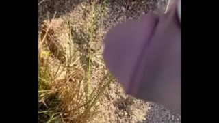 Tomas1212123 Piss Outdoor