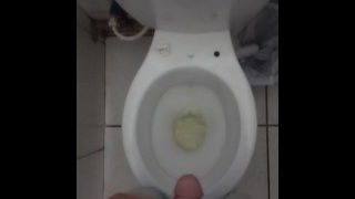 Unzipped My Hairy Cock To Piss Off On The Mall Piss Fetish