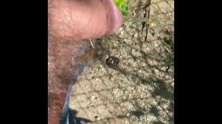 Up Close Small Cock Public Piss