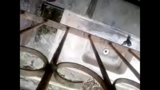 Ursão, Pueta Na Janela