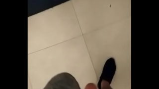 Urso Mamando Na Academia