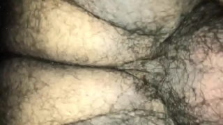 Ursos Fodendo