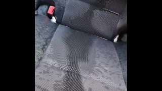 Van Piss