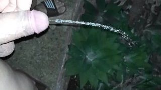 Watering The Garden With My Piss