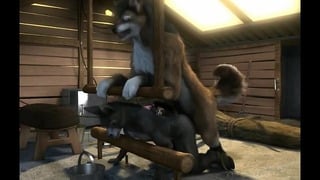 Wolf Hump A Tied Donkey In Stable HD By H0Rs3