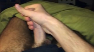 Young Bear With Big Cock Tanbark 1/4