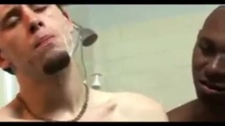 BBC Big cock