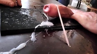Penis V Boxer 2