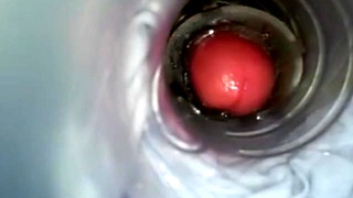 Fleshlight Pov