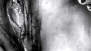 My Vintage Mixed Sex Vids 4 – Featuring Many Ladies and Men