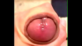 Korean cum everywhere