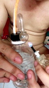 Vietnamese smoking and cock terrier alone
