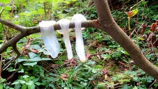 Swallowing cum from three used condoms found outdoor