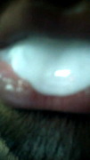 Mouthful of cum in my mouth  with cum swallow