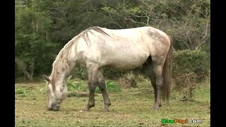 First Time Bareback
