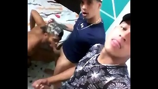 Tr S Tep Bro Se Pegando